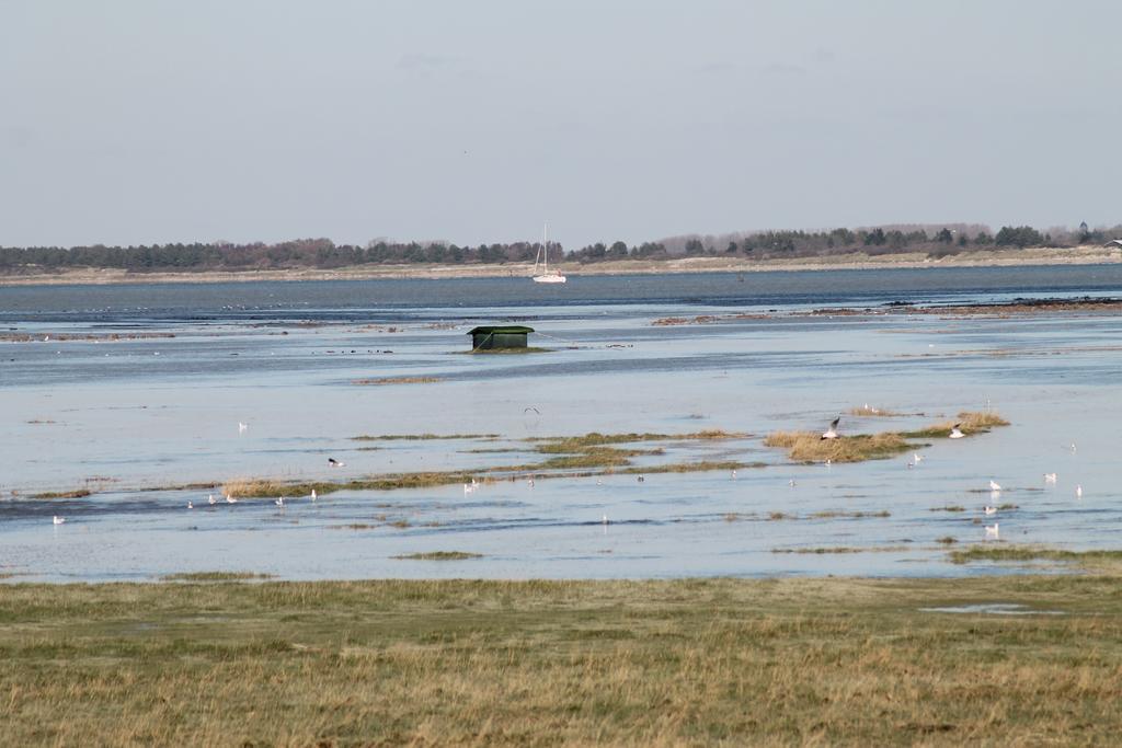 Camping De La Baie-Baie De Somme-Sites Et Paysages Pendé エクステリア 写真